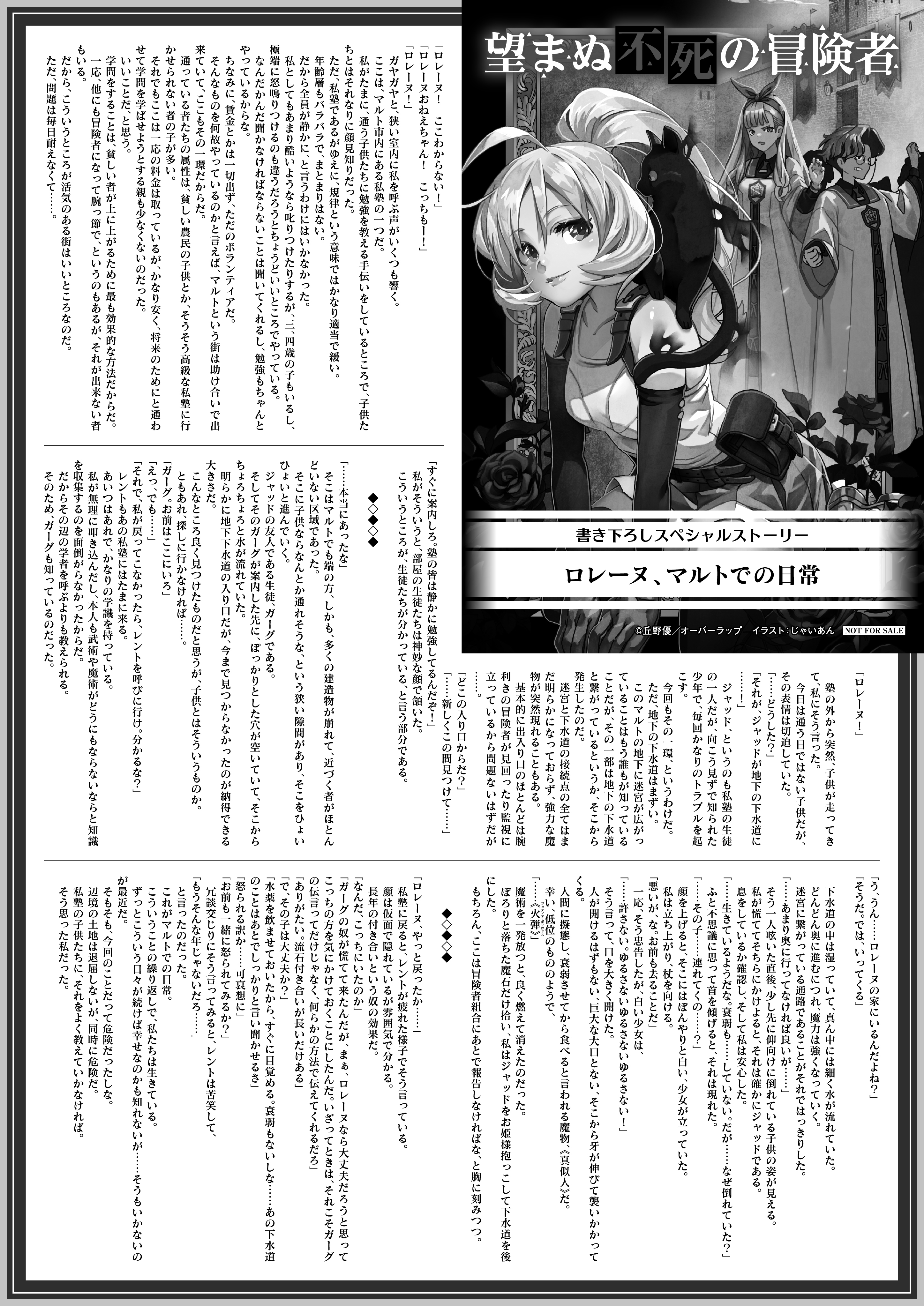 【ノベルス】『望まぬ不死の冒険者 9』B5SSペーパー